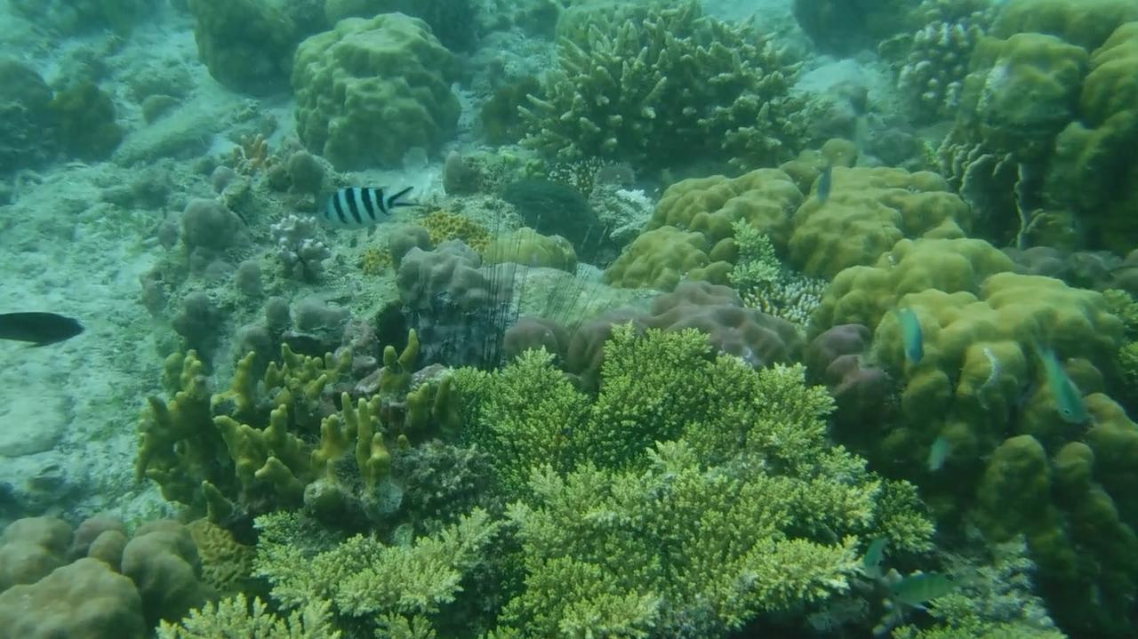 Iris Island Eco Resort Бусуанга Екстериор снимка
